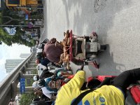 IMG_7485.jpeg