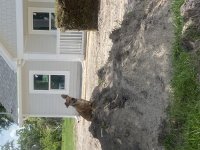 IMG_4726.jpeg