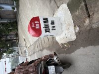 IMG_7780.jpeg