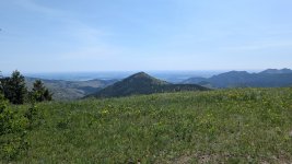 PXL_20250621_170021329.jpg