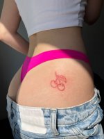 IMG_2556.jpeg