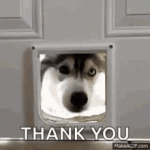 1750627283511.gif