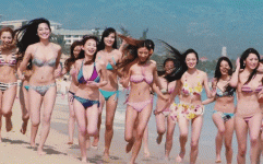 IMG_2581.gif