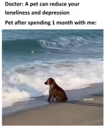 1750859720562.png