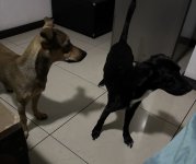 IMG_3297.jpeg