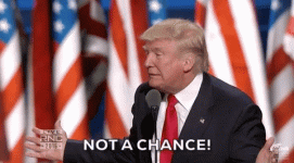 1750950801380.gif