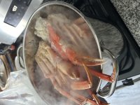 IMG_4931.jpeg