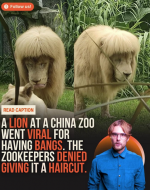 1751041198313.png