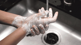 norovirus-handwash-2x.gif