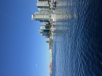 IMG_0961.jpeg