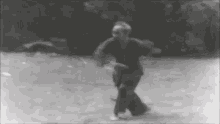 ho-chi-minh-kungfu (1).gif