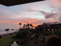 IMG_1260.jpeg