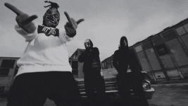 IMG_8285.gif