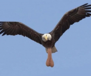 1751659761137.png