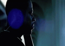 IMG_2727.gif