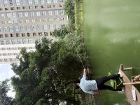 IMG_8337.jpeg