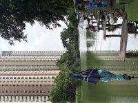 IMG_8335.jpeg