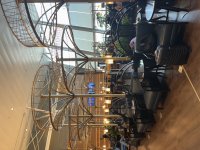 IMG_8353.jpeg
