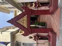 IMG_8979.jpeg