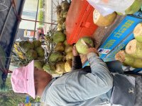 IMG_8974.jpeg