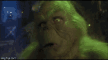 IMG_2774.gif