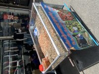 IMG_9018.jpeg