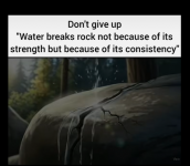 1752154264189.png
