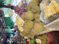 IMG_9034.jpeg