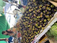 IMG_9035.jpeg