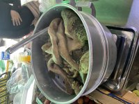 IMG_9037.jpeg