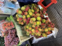 IMG_9040.jpeg