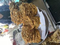 IMG_9041.jpeg