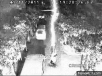 IMG_2810.gif