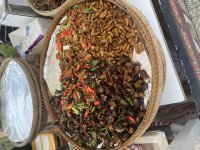 IMG_9078.jpeg