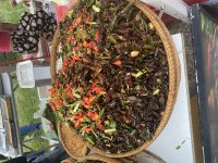 IMG_9077.jpeg