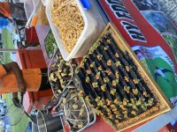 IMG_9072.jpeg