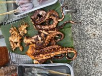 IMG_9067.jpeg