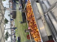 IMG_9066.jpeg