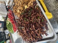 IMG_9062.jpeg