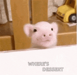 1752601668442.gif