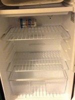 IMG_2876.jpeg
