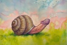 IMG_2892.jpeg