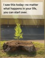 1752780620338.png