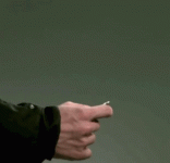 IMG_2956.gif