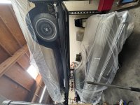 IMG_8811.jpeg