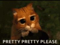 IMG_8881.gif