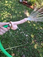 IMG_2982.jpeg