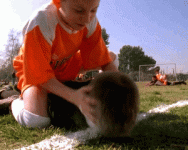 1753224434818.gif