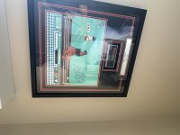 IMG_9123.jpeg
