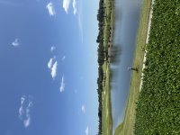 IMG_3530.jpeg